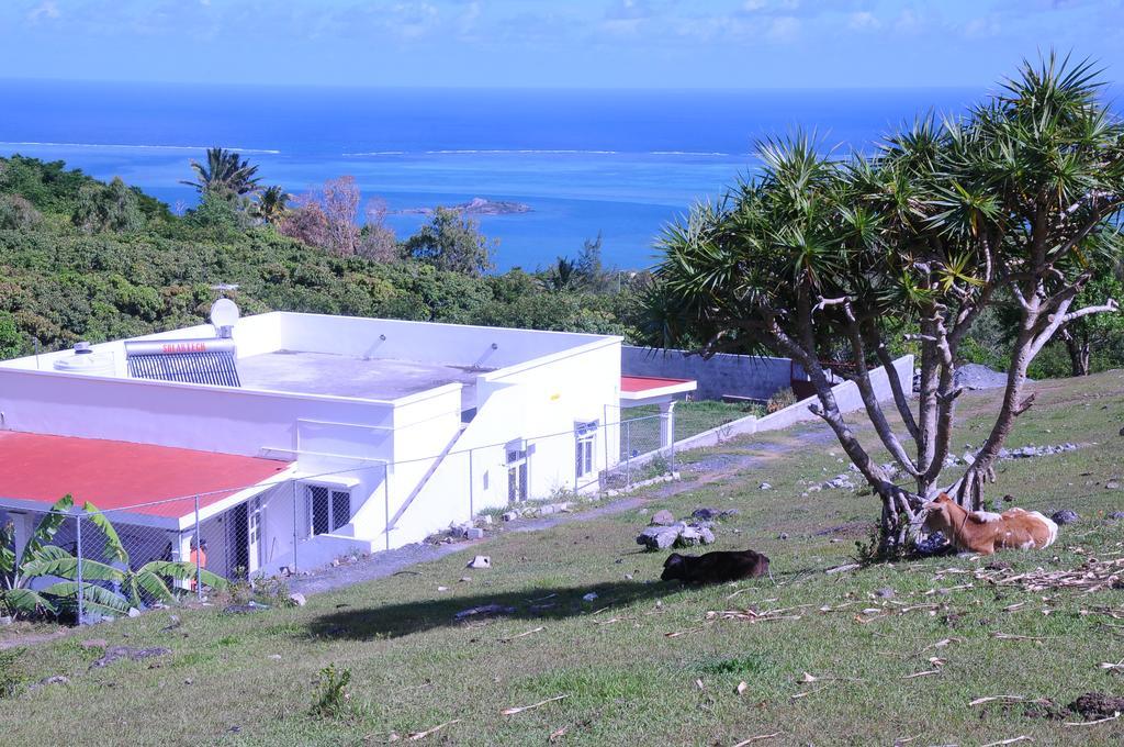 Le Paradisier Guest House Petit Gabriel Extérieur photo